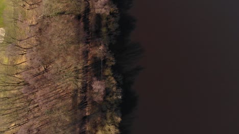Aerial-birds-eye-drone-view-of-reservoir-lake-along-side-autumn-forest-area-in-English-countryside