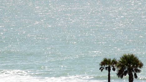 Ocean-waves-with-two-palm-trees-small-in-corner-of-frame