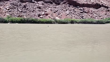 Guy-sits-down-to-float-in-river-in-Utah