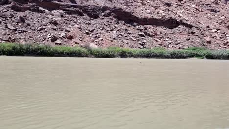 Guy-floating-in-river-in-Utah