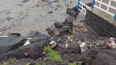 Müll-Wird-An-Der-Küste-Von-Mumbai-Angespült
