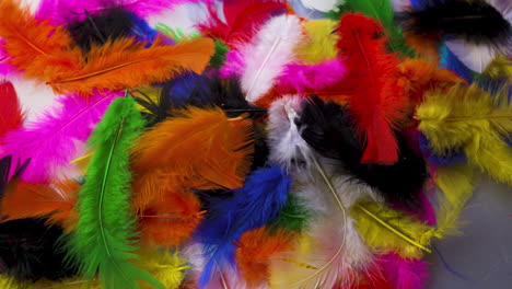 Fluffy,-colored-feathers-softly-falling-into-a-pile