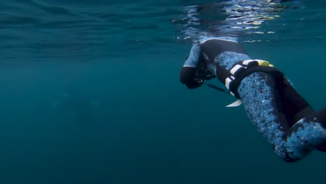 Orcas,-killer-whales-swim-by-divers-in-wetsuits-underwater-in-Norway