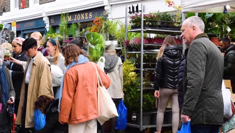 Leute,-Die-Zimmerpflanzen-Auf-Dem-Berühmten-Columbia-Road-Flower-Market-Kaufen