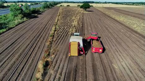 A-reverse-aerial-drone-clip-of-a-potato-harvester-lifting-the-crop-in-a-dry,-flat-field,-with-a-tractor-and-trailer-driving-alongside-to-catch-the-potatoes-from-the-conveyor-belt