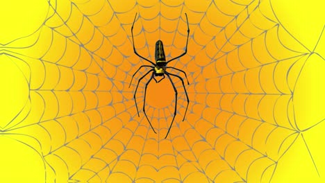 Gruselige-Spinne,-Die-Das-Netz-Hinunterkriecht-Und-Dann-Hochgeht