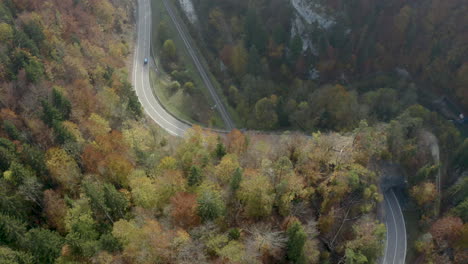 Aerial-view-of-a-road-in-autumn-at-the-edge-of-a-forest-with-two-cars-crossing-each-other