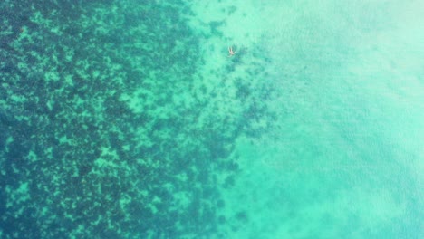 Die-Menschen-Schwimmen-Auf-Ruhigem,-Klarem-Wasser-Aus-Türkisfarbenem-Wasser-Und-Erkunden-Unterwasser-korallenriffe-Und-Den-Wunderschönen-Felsigen-Meeresboden-In-Der-Dominikanischen-Republik