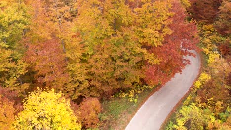 Aerial-view-of-incredible-roads-through-the-Durmitor-National-Park-in-Montenegro-full-of-amazing-fall-colours-during-autumn