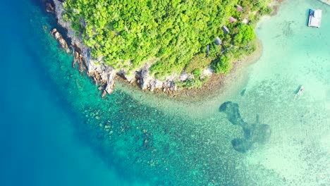 Rocky-shore.-waterside-hill-with-exotic-vegetation.-aerial
