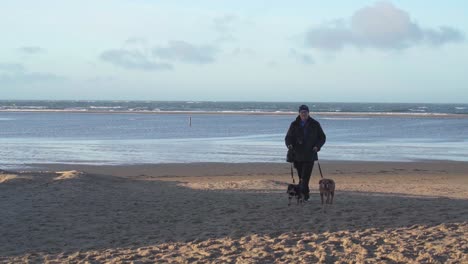 Man-Walking-His-Dogs-At-The-Sea-Shore-Of-Texel-In-Wadden-Islands,-Netherlands---wide-slowmo-shot