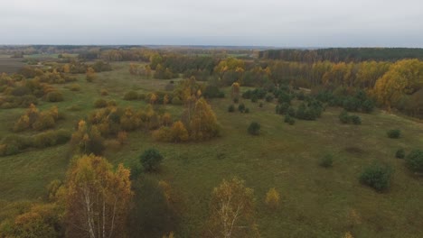 Flug-Vorwärts-über-Bunte-Bäume-Und-Sträucher-Bewölkter-Herbsttag