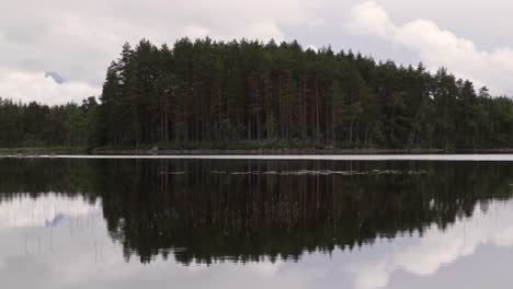 Small-bay-in-a-lake,-filled-with-trees-during-a-cloudy-day-in-summer