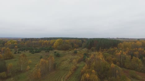 Flight-Forward-Towards-Colorful-Forest-Overcast-Autumn-Day