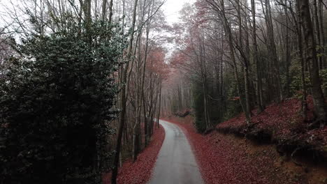 Luftaufnahmen-Der-Straße-Zwischen-Wald-Mit-Herbstfarben-In-Den-Katalanischen-Bergen