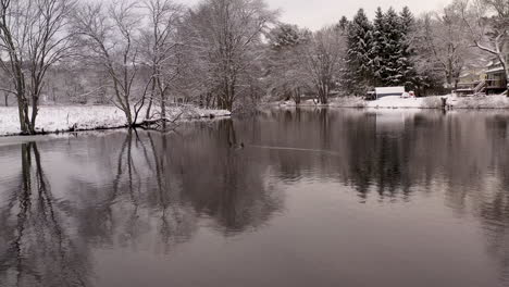 Low-hovering-aerial-shot-of-ducks-on-pond-in-Connecticut-in-winter