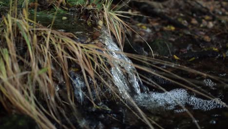 Close-up-of-a-small-moorland-stream
