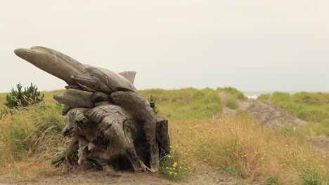 Dolphin-wooden-statue-at-dunes-field-during-family-with-bikes-passing-by,static-shot