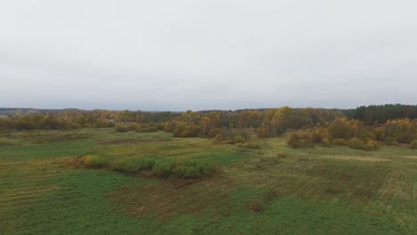 Flight-Forward-Over-Meadows-Towards-Colorful-Forest-Overcast-Autumn-Day