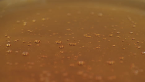 Loopable-close-up-shot-of-honey-dripping-onto-a-surface-filled-with-more-honey