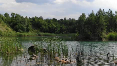 Niedriger-Blick-Auf-Den-Schönen-Sommersee-Mit-Gras-Im-Vordergrund,-Umgeben-Von-Wald,-Der-Nach-Vorne-Verfolgt