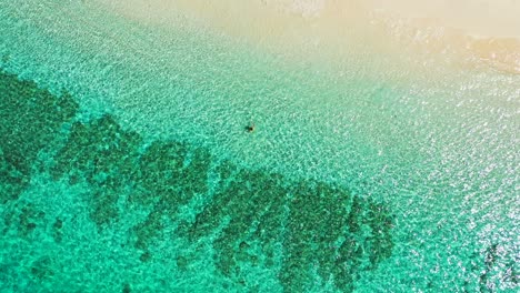 Dos-Amigas-Nadando-En-Las-Claras-Aguas-Azules-De-Una-Isla-De-Playa-Tropical-Con-Hermosos-Arrecifes-De-Coral