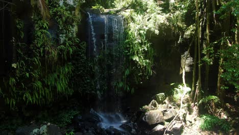 Näherung-An-Curtis-Falls,-Mt-Tamborine,-Rain-Forest-Creek,-Sommertag-Queensland-Australien