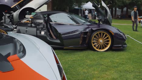 Pagain-Huayra-and-Mclaren-Parked-on-Grass-for-a-Car-Show