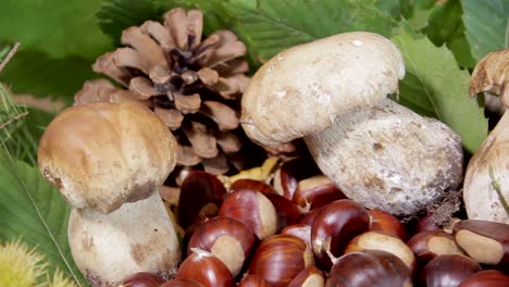 Mushrooms-and-chestnuts-in-autumnal-composition