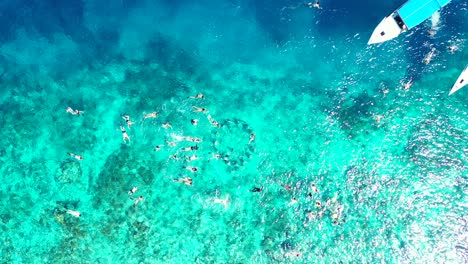 A-large-group-of-tourists-snorkeling-in-the-crystal-clear-waters-of-a-shallow-blue-lagoon