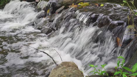 Small-waterfall,creek-water-tumbling-down-rocks,-peaceful-summers-day,-rain-forest