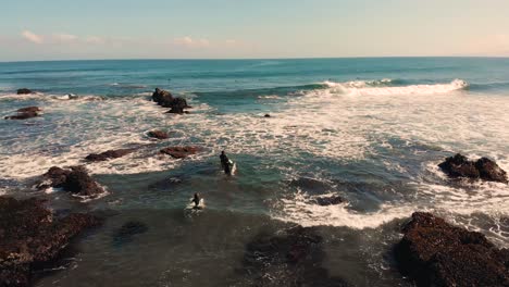 Tres-Surfistas-Entrando-Al-Mar-Desde-La-Playa-Centrándose-En-La-Chica-Surfista-En-Punta-De-Lobos,-Pichilemu-4k