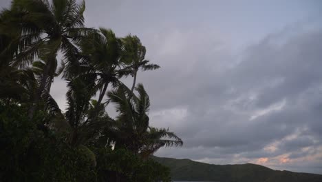 Dramatic-moody-scenery-with-coconut-trees-swaying-in-wind-on-tropical-island