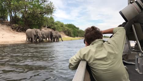 Ein-Fotograf-Auf-Safari-Fotografiert-Elefanten,-Die-Im-Fluss-Trinken