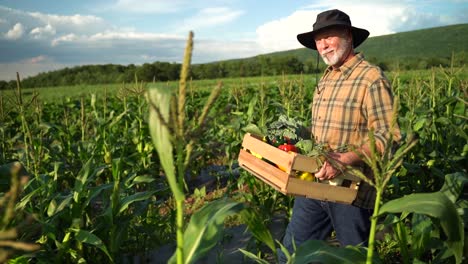 Side-view-portrait-of-farmer-carrying-a-box-of-organic-vegetables-look-at-camera-at-sunlight-agriculture-farm-field-harvest-garden-nutrition-organic-fresh-portrait-outdoor-slow-motion
