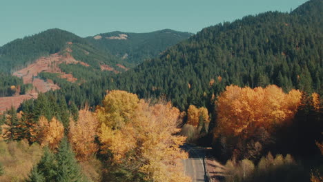 4k-aerial-road-in-colorful-forest-in-fall-with-evergreen-hills-in-background-drone-jib-up