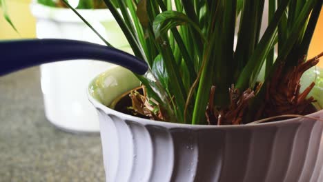 Close-up-of-a-watering-can-pouring-fresh-water-into-the-flower-pot