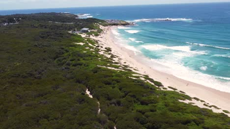 Drone-Aerial-Shot-of-Soldiers-Beach-Surf-Club-with-people-on-sandy-beach-reef-coastline-bushland-tourism-Central-Coast-NSW-Australia-4K