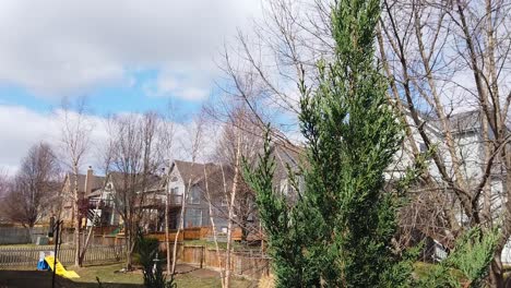Up-close-to-ever-green-tree-very-windy-backyard-shot