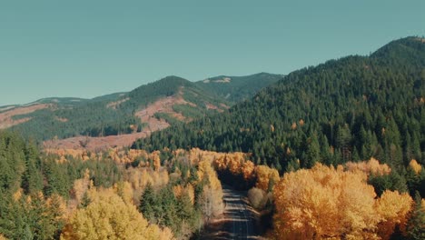 4k-aerial-colorful-trees-in-fall-with-evergreen-hills-in-background-drone-dolly-in-+-jib-up