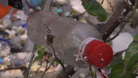 Plastic-bottles-stuck-on-tree-faded-mixed-trash-background-close-up-4k-Asia,-Thailand-Filmed-with-Sony-AX700