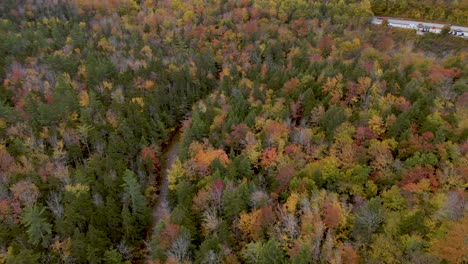 Colores-Otoñales-De-Nueva-Inglaterra-En-Un-Hermoso-Bosque---Drone-Aéreo-Inclinado-Hacia-Abajo