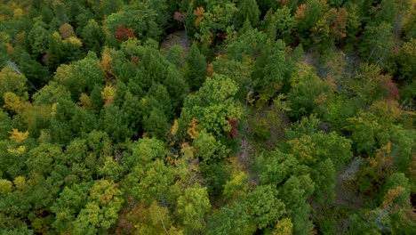 New-England-Beautiful-Forest-Countryside-Landscape---Aerial-Drone-establishing-View