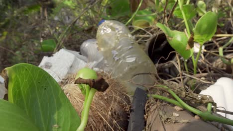 Dying-plant-close-up-a-plastic-bottle-and-rubbish-background-4K-Asia,-Thailand-Filmed-with-Sony-AX700