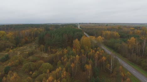 Roads-Leading-Through-Multicolored-Forest-In-Autumn
