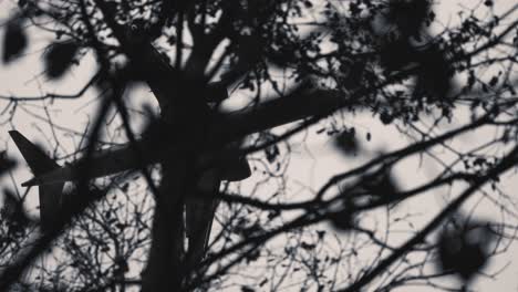A-silhouette-of-the-passenger-plane-against-the-pale-grey-sky,-seen-through-the-dark-tangled-branches