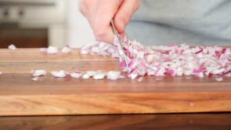 Chopped-red-onion-dynamic-slide-pan