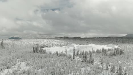 4k-Aerial-snowy-dune-in-middle-of-the-forest