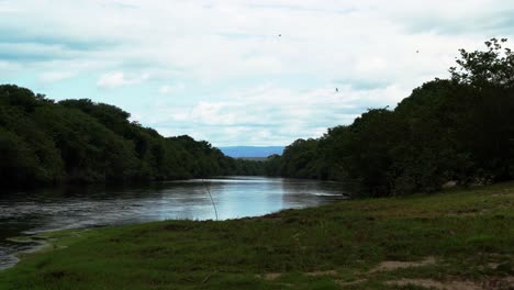 K-shot-of-a-large-Brazilian-river-with