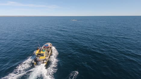 A-Fishing-Boat-Sailing-Across-The-Patagonian-Sea-With-Pod-Of-Dolphins-Swimming-In-San-Jose-Gulf-Near-Peninsula-Valdes-In-Patagonia,-Argentina---aerial-slowmo